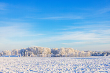 Sticker - Snowy rural landscape with hoarfrost on the trees a beautiful winter day