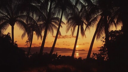 Wall Mural - dark palms create a serene atmosphere at dusk, offering an expansive view that highlights the beauty