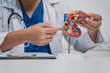 © Atthapon - In the clinic, the cardiology team used a detailed model to explain the anatomy of the heart, discussing disease prevention and care options, including surgery and medicine for health.