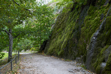 Wall Mural - Walking path near a moss-covered rock. Beautiful northern nature. Monrepos Park, Vyborg, Leningrad Region, Russia.