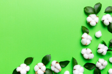 Wall Mural - autumn floral flat lay background composition. dried white fluffy cotton flower branchwith green lea