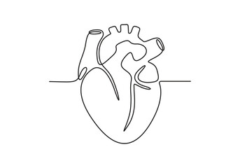 Human heart continuous one line drawing. Isolated on white background vector illustration