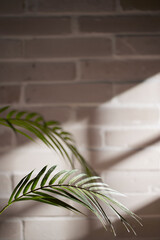 Wall Mural - Various objects and vintage brick background with
shadows of sunlight coming through the window.