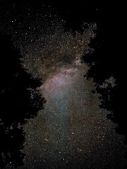 Wall Mural - a photo of a galaxy and a constellation on the background of a silhouette of trees