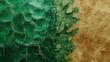 © S@photo - Abstract Texture of Cracked Earth and Dry Land in Green and Brown