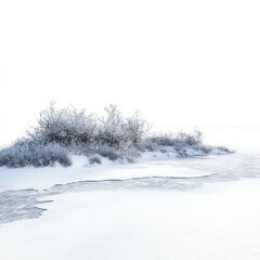 Wall Mural - A snowy landscape with a small patch of green grass