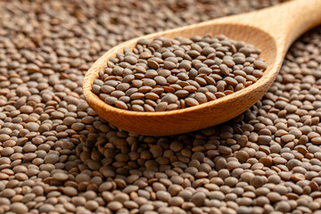 Wall Mural - Lentils picked up by a wooden spoon 