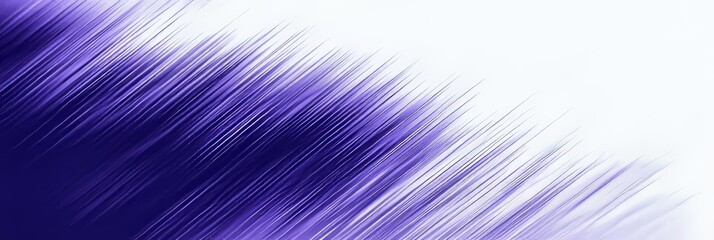 Poster - A purple grainy background with a noisy color gradient banner and a dark textured poster header.