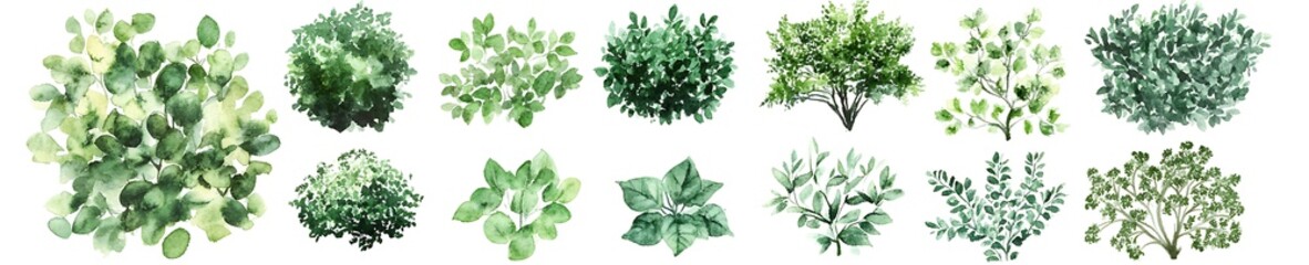 Fototapete - Top view of hand-drawn watercolor bushes