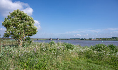 view to Bridge over the Eider River in Tönning,Eiderstedt peninsula,Schleswig-Holstein,Germany