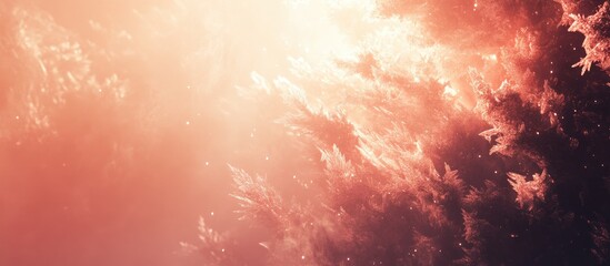Wall Mural - frosted spruce branches illuminated by warm light creating a serene winter landscape atmosphere