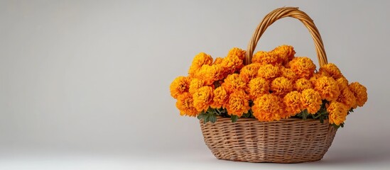 Wall Mural - Chrysanthemums in a woven basket showcasing vibrant orange blooms with selective focus on a light background