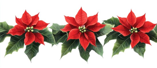 Poster - Festive arrangement of vibrant red poinsettias intertwined with lush green leaves ideal for seasonal decorations and holiday celebrations
