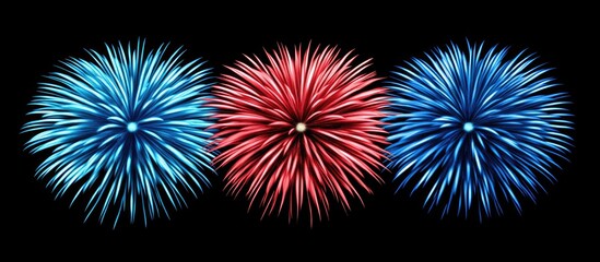 Leinwandbilder - Vibrant firework burst in red blue and white contrasting against a dark night sky ideal for celebration and festive events
