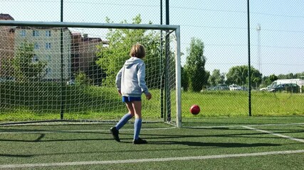 Poster - Small Girl Goalie Stops The Ball From Scoring On A Soccer Field