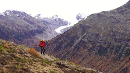 Fototapete - A man hiking in the mountains above Pontresina, in autumn.