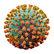 © VinakMotion - Hepatitis B virus with densely packed protein spikes in green and yellow, smooth texture, shown on a white background,