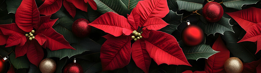 Wall Mural - Abstract background with red Poinsettia leaves. Horizontal composition, banner.