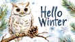 © Joyce - Owl on tree. Winter theme background template for greeting card design.