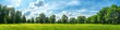 © Mykola - Sky And Trees. Summer Park Scenery with Green Meadow and Lush Trees