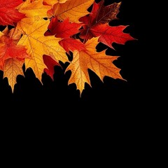 Aufkleber - Autumn abstract banner with bright beautiful maple leaves. Fall art background, poster, cover or flyer design. Vector template for advertising, print, packaging, social media