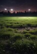 © Songpon - Abandoned baseball field at night with overgrown grass, outdoor, night,