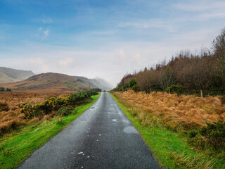 Fototapete - Small narrow asphalt road leading into mountains, beautiful blue cloudy sky after rain. Scene convey sense of freshness and travel to remote area. Connemara, Ireland. Explore Irish nature theme.