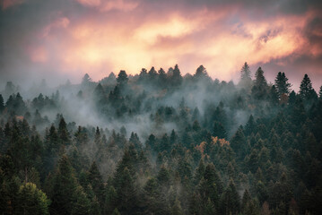 Wall Mural - misty mountain landscape