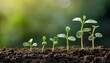 © Bernard Chantal - Close-Up of Green Seedlings Growing in Fertile Soil with a Natural Blurred Background Emphasizing Sustainability