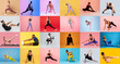 © Prostock-studio - A variety of individuals engage in different workout activities, showcasing stretches, yoga poses, and strength training, all set against vibrant, colored backdrops that create a lively atmosphere.