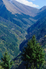 Poster - Beautiful autumn forest landscape in Sichuan, China