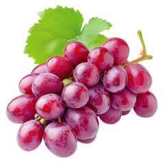 Wall Mural - bunch of grapes