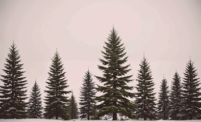 Poster - A row of pine trees are lined up in a forest. The trees are tall and green, and the sky is cloudy. The scene has a peaceful and serene atmosphere, with the trees standing tall and proud