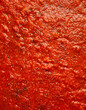 © Ralph Smith - Rich Tomato Sauce Close-Up