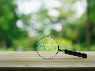 Wall Mural - Magnifying glass with 2025 text and financial graph on wooden table over blur green tree in garden, Business happy new year 2025 research concept