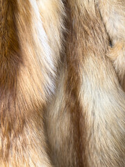 Wall Mural - A close up of a fur coat with a brown and white color