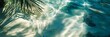 © Bilas AI - Sunlit rippled water with palm frond shadows on a sandy beach