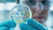 © red_orange_stock - Close-up of a scientist wearing gloves examining a petri dish containing colorful microbial colonies in a laboratory setting.