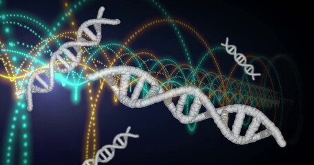 Wall Mural - image of dna strands, light trails and data processing over dark background