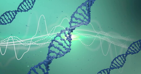 Wall Mural - image of dna strands, light trails and data processing over green background