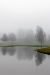 Canvas Print - Foggy morning