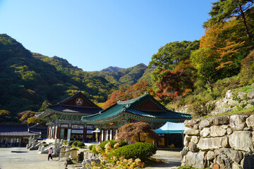 Wall Mural - temples and mountains