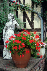 Wall Mural -  Geraniums in a container  by  French house