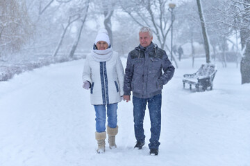 Canvas Print - An elderly couple walks in a winter park