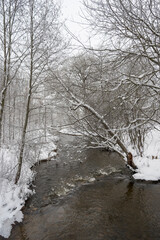 Wall Mural - River in a winter.