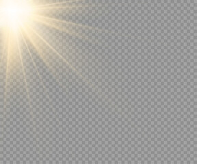 Wall Mural - light effects, glare, glitter, explosion, golden light, vector illustration. shining golden stars.