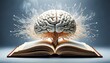 © PhotoLoren - Bienfaits de la lecture sur le cerveau