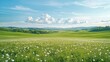 © UnderTheSun - A serene landscape of lush green fields dotted with white flowers under a bright blue sky and fluffy clouds.