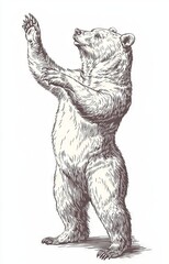 An isolated vintage illustration of a black bear, engraved with an American grizzly background and Asian animal silhouette art.