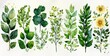 © neiros - Modern Big Set of Watercolor Elements - Wildflowers, Herbs, and Leaves